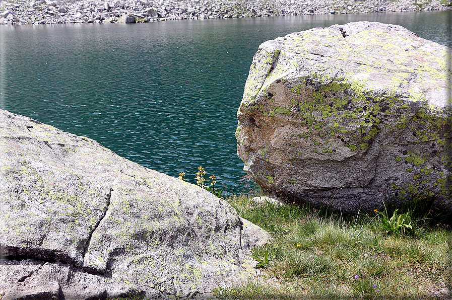 foto Lago Gelato